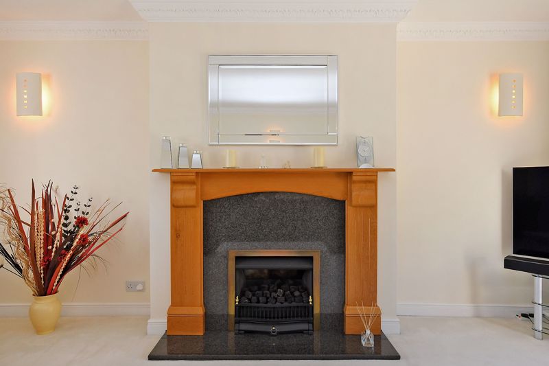 Feature Fireplace
